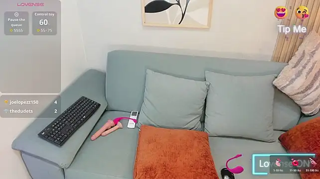 KassMonroe webcam