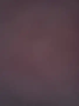 hardnhornybull webcam