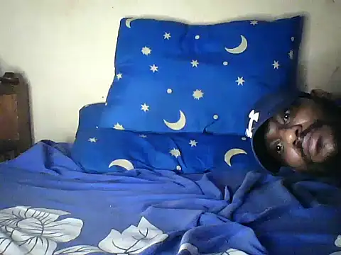 HomeBully webcam