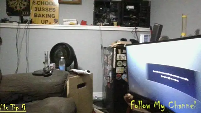 Nb1979 webcam