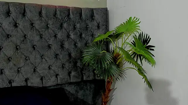 Miasinclare webcam