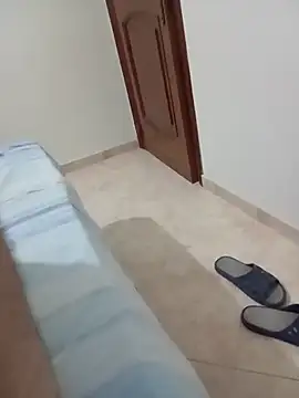 frandek webcam