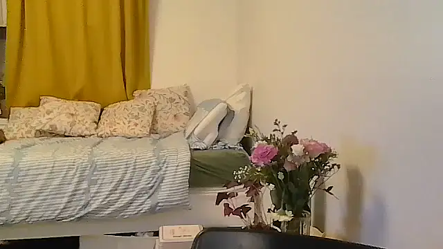 belgianshantie webcam