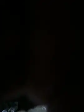 XS-Dickman webcam