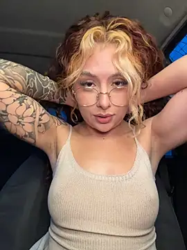 Joyce-fire webcam