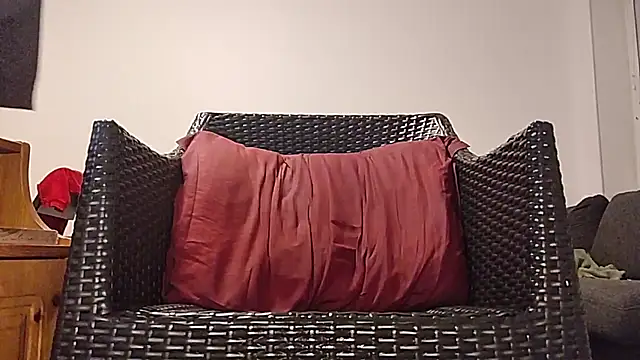 Tyyson03 webcam