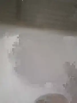 Em3033 webcam