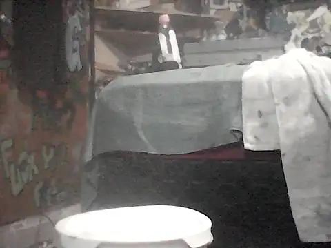 Twoslipperywhenwett webcam