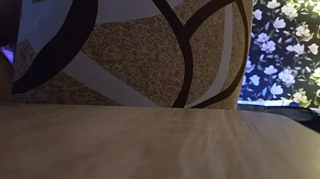 Vuitton's live cam