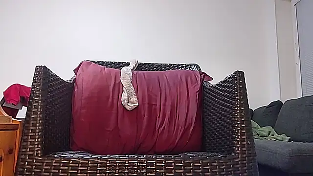 Tyyson03 webcam