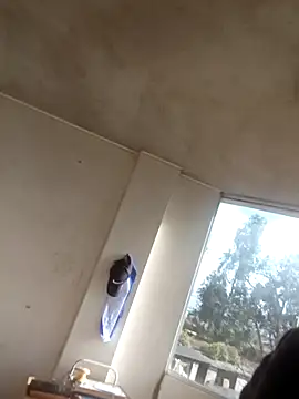 manuel40 webcam