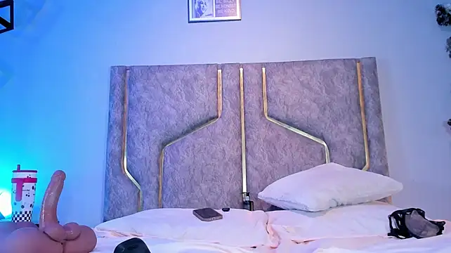 Anyconnor webcam