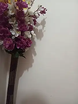 Tanha18 🎾 naked cam