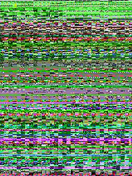 BigS234 webcam