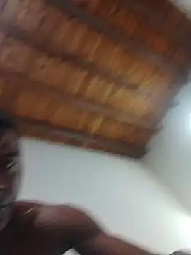 InsituFull webcam