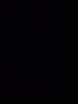 EgyptianHorse webcam