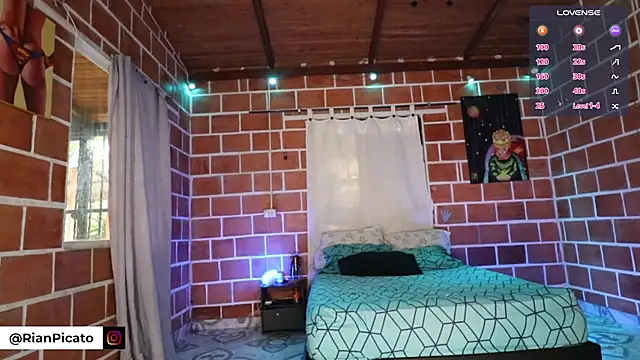 Ryan_picato webcam