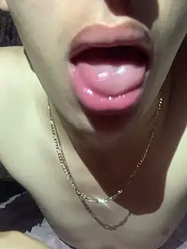 MiroKari2 webcam
