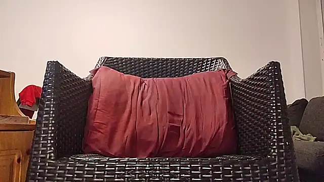 Tyyson03 webcam