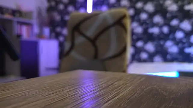 Vuitton webcam