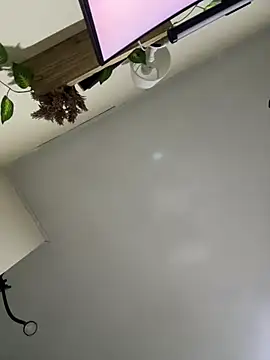 reaLISStic webcam