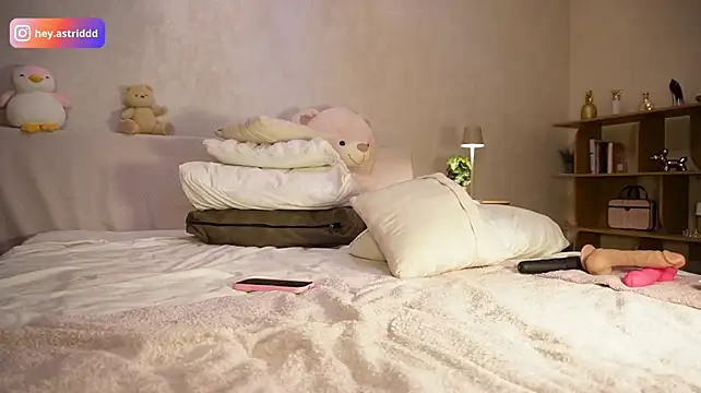 Astridwet webcam