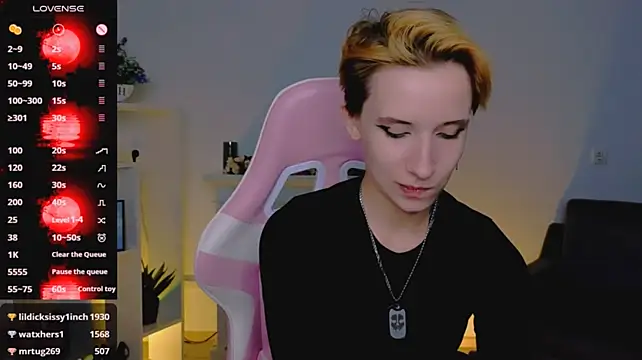 _Rein_ramm webcam