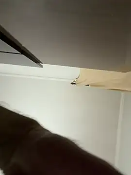 CoyoteDuMato webcam