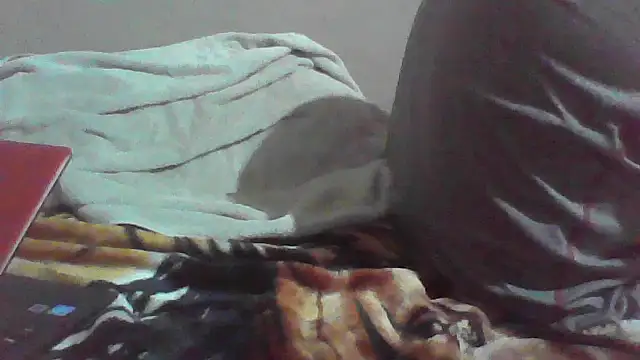cobrosdepagos webcam