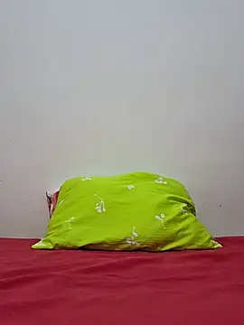 altinya webcam