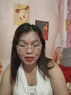 Cover-baa webcam