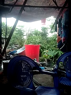 yun_2006 webcam