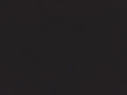 SHARPSkinhead webcam