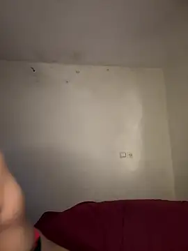arabayla webcam