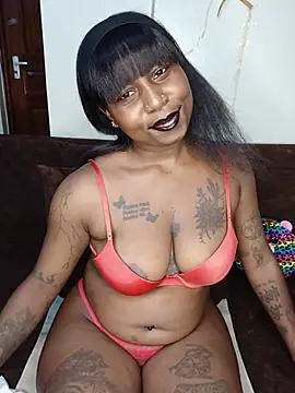 S_inner webcam