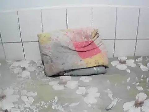 pierdona webcam
