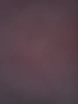 hardnhornybull webcam