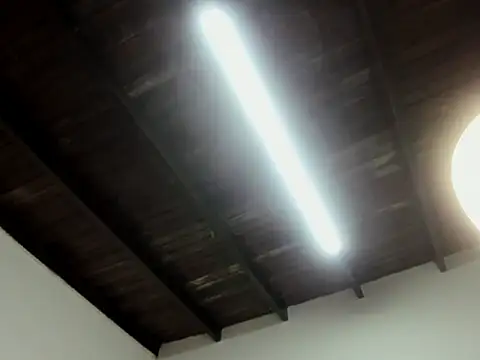 Cataleya__Marin webcam