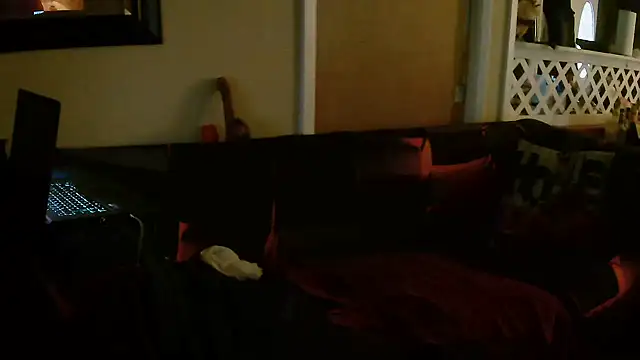 PinellasPlay webcam