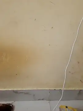 Monika_kumari6