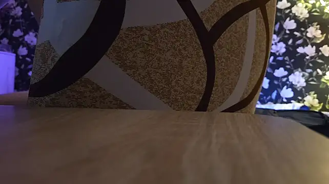 Vuitton webcam