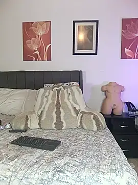 CristalRays webcam