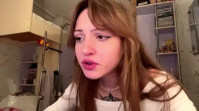 chipsis webcam