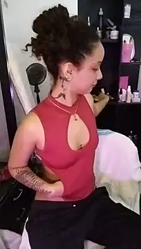MIlan333X webcam