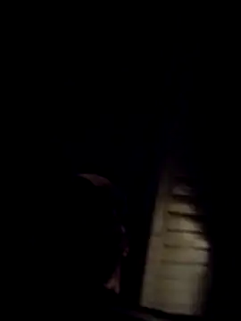 AceticPinscher webcam