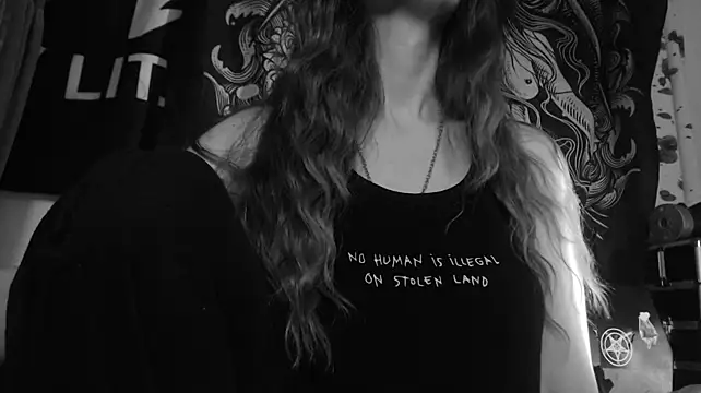 Silentmary webcam