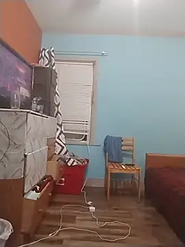 ReallyReallyReal webcam