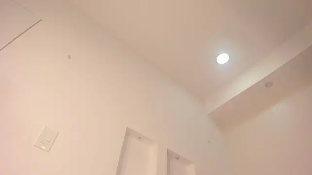 DakkotaFox webcam