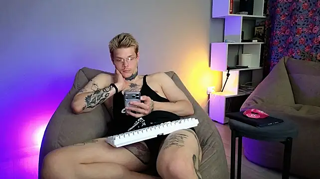 DENIS_HERE webcam