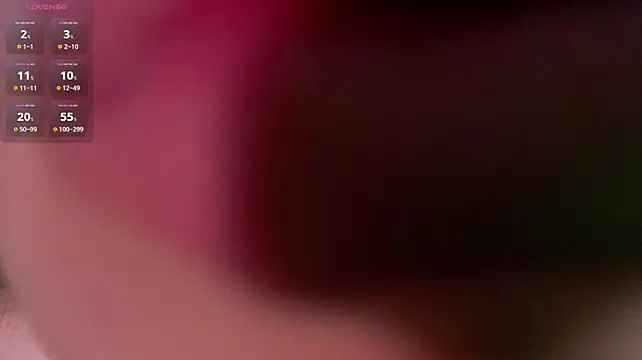 PollyVinice webcam